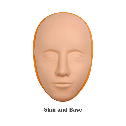 skin-and-base